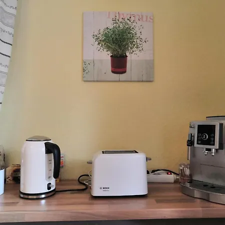 Ferienappartment Zum Gruenen Hirsch דירה *