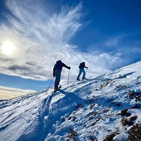 Ferienappartment Zum Gruenen Hirsch דירה *