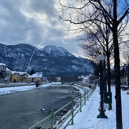 Ferienappartment Zum Gruenen Hirsch *