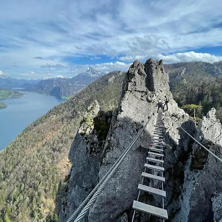 Ferienappartment Zum Gruenen Hirsch *