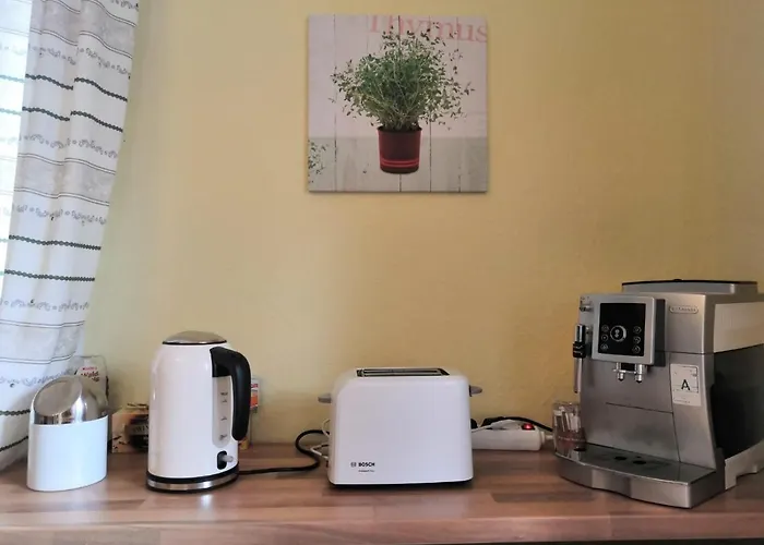 Ferienappartment Zum Gruenen Hirsch Apartmán *