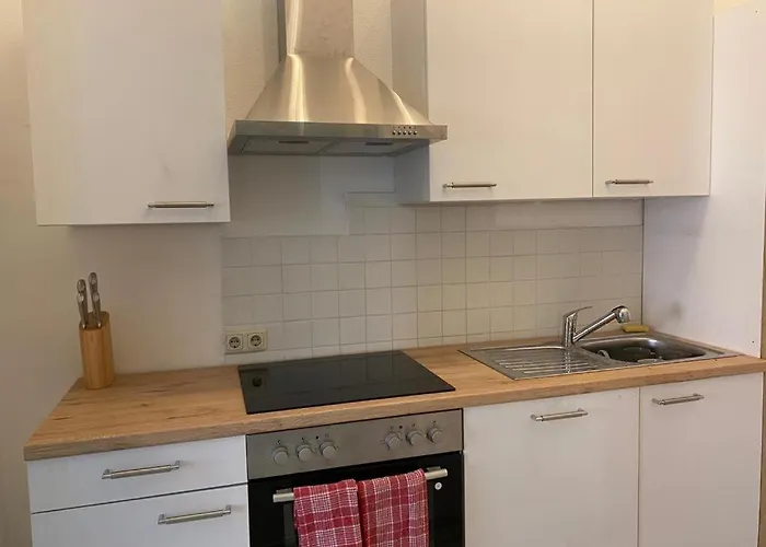 Ferienappartment Zum Gruenen Hirsch Apartmán Bad Ischl